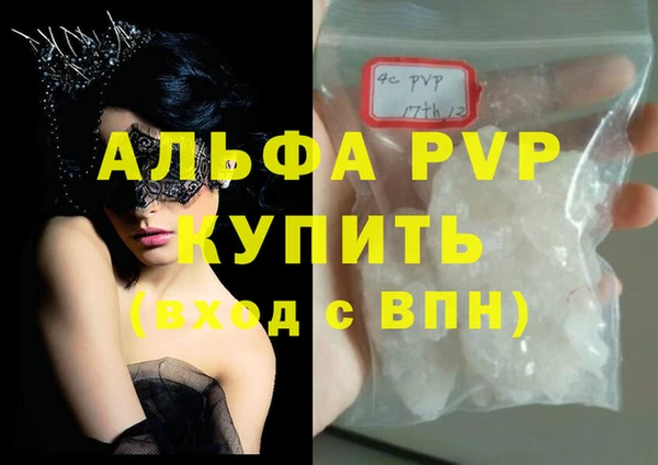 стафф Касимов