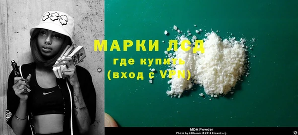 стафф Касимов
