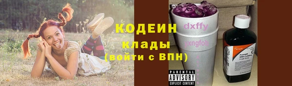 стафф Касимов