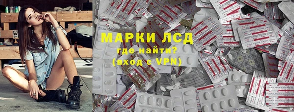 стафф Касимов
