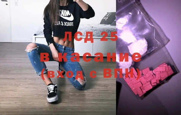 стафф Касимов