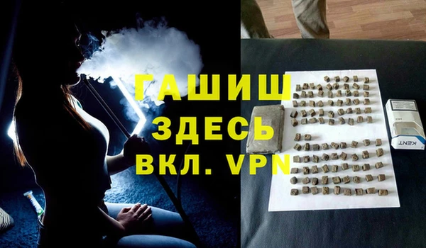стафф Касимов