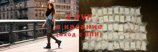 стафф Касимов