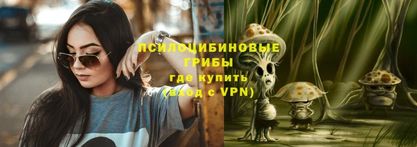 стафф Касимов