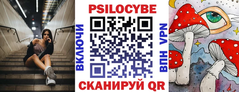 Псилоцибиновые грибы мицелий  Купить  Заозёрный 